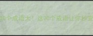 带盾字的20个成语大这20个成语让你秒变中文高手
