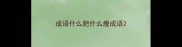 成语什么肥什么瘦成语