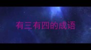 有三有四的成语