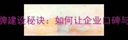 驰名中外的品牌建设秘诀如何让企业口碑与流量双丰收