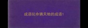 成语玩命猜天地的成语