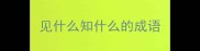 见什么知什么的成语