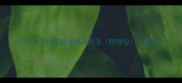 10个以小字结尾的成语及用法附例句成语大全