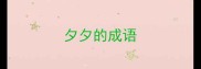 夕夕的成语