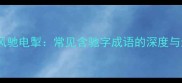 驰骋沙场风驰电掣常见含驰字成语的深度与运用指南