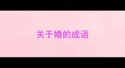 关于婚的成语