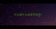 什么窥什么成语界成语