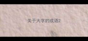 关于大字的成语