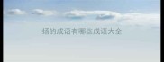 扬的成语有哪些成语大全