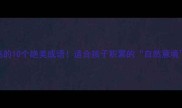 形容鱼鸟的10个绝美成语适合孩子积累的自然意境类高频词