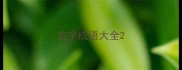 宏字成语大全