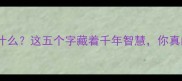 放鹰成语是什么这五个字藏着千年智慧你真的懂吗