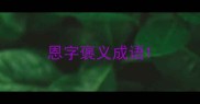恩字褒义成语