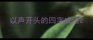 以声开头的四字成语