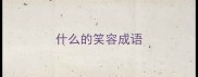 什么的笑容成语