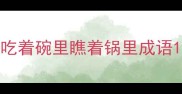 吃着碗里瞧着锅里成语