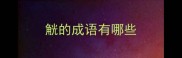 觥的成语有哪些