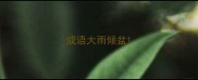 成语大雨倾盆