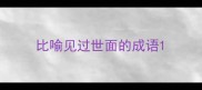 比喻见过世面的成语