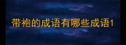 带袍的成语有哪些成语