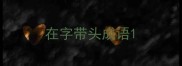 在字带头成语