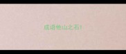 成语他山之石