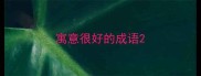 寓意很好的成语