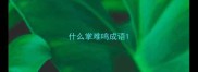 什么掌难鸣成语