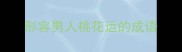 形容男人桃花运的成语