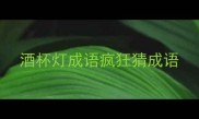 酒杯灯成语疯狂猜成语