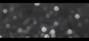 一三字相同的成语
