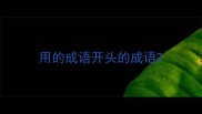 用的成语开头的成语