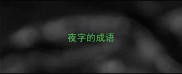 夜字的成语