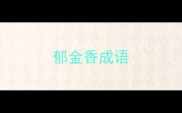 郁金香成语