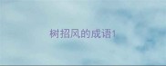 树招风的成语