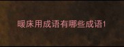暖床用成语有哪些成语