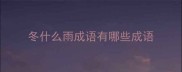 冬什么雨成语有哪些成语