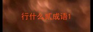 行什么贰成语