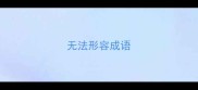 无法形容成语