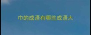 巾的成语有哪些成语大