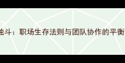 单打独斗职场生存法则与团队协作的平衡之道