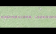 成语穿破衣走破路的寓意与应用场景从俗语到成语的演变与启示