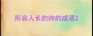 形容人长的帅的成语