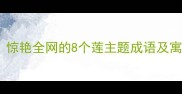 莲的成语有哪些惊艳全网的8个莲主题成语及寓意必看文化清单