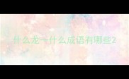 什么龙一什么成语有哪些