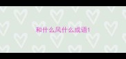 和什么风什么成语