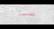 云上阁楼什么成语