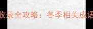 冬季成语100个收录全攻略冬季相关成语的由来与用法