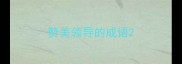赞美领导的成语