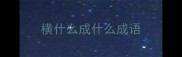 横什么成什么成语